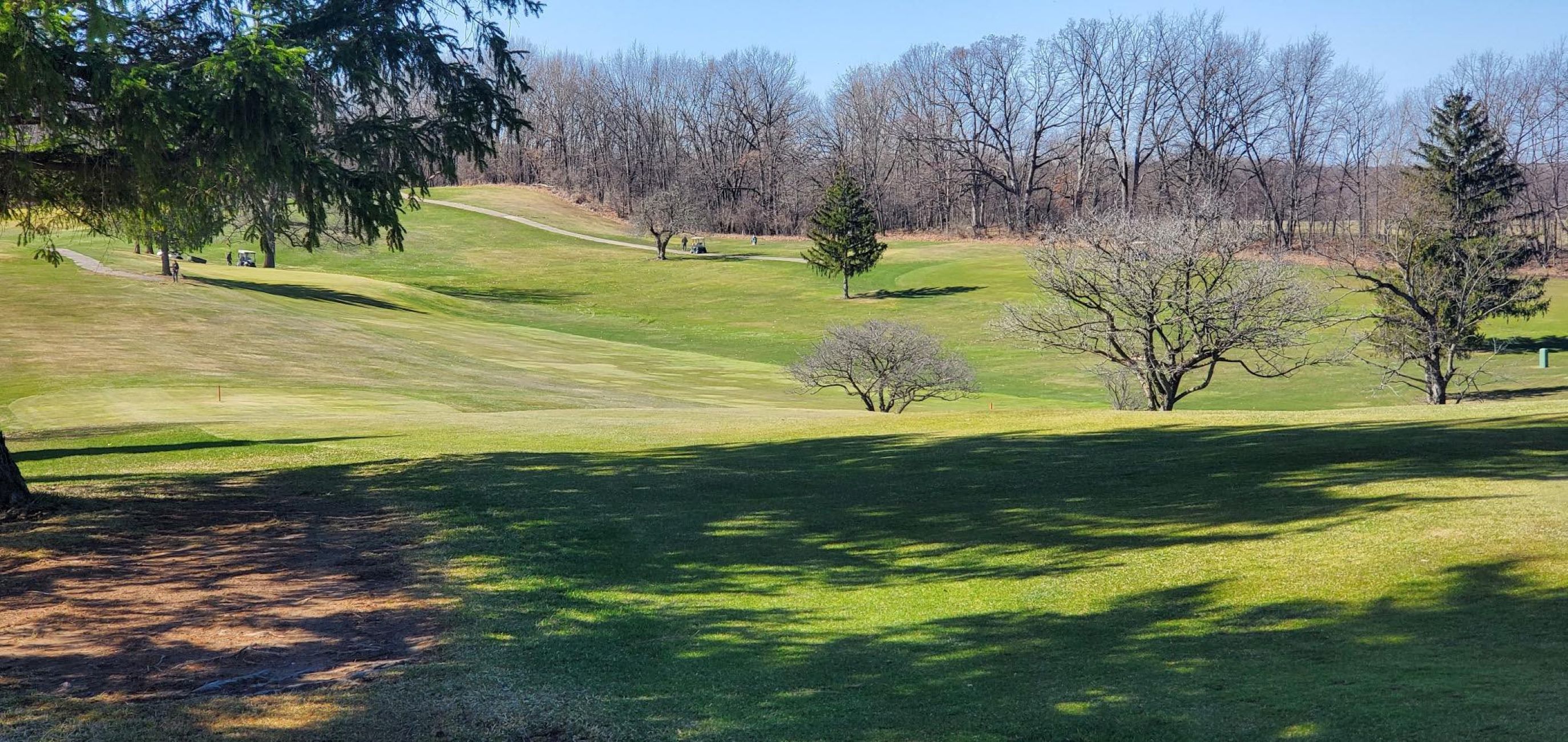 Image of golf ball on tee on grass.